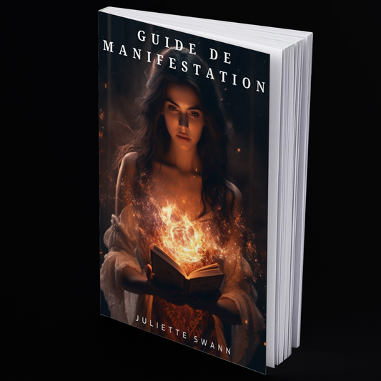 Guide de Manifestation